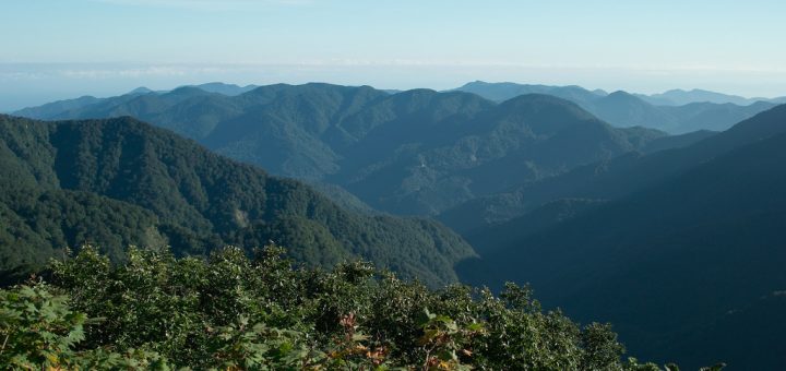 白神山地